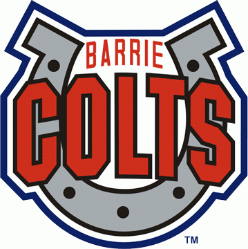 Barrie Colts 1995-pres secondary logo v2 iron on heat transfer